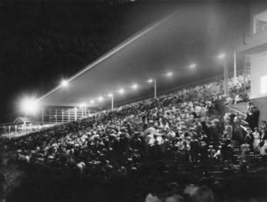Crowd at night trotting, Alexandra Park raceway, Auckland