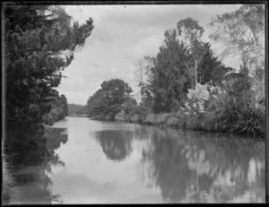 River in Northland