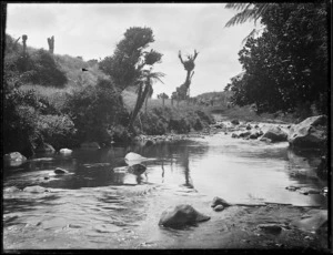 Mair Park, Whangarei