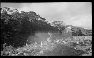 Gouland Downs, Tasman distict