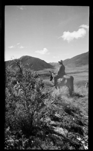 Gouland Downs, Tasman distict