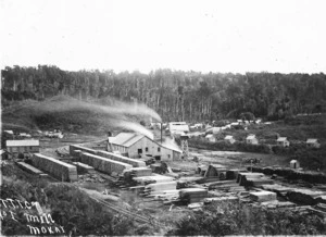Timber Mills Industry