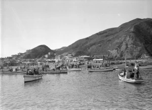 Flotilla of fishing boats setting out to sea, Island Bay
