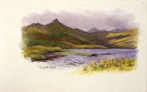 Worsley, Charles Nathaniel, 1862-1923 :Campbell Island. [January 1902].