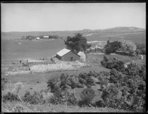 Shearing shed and farm buildings in Northland