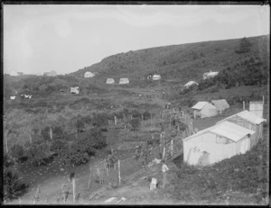 Hillside settlement at Towai