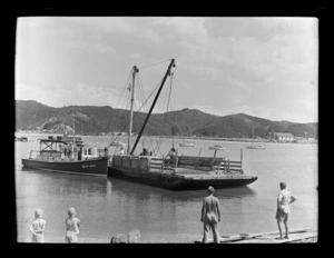 Sheep on barge, Waitangi, Far North District, Northland Region