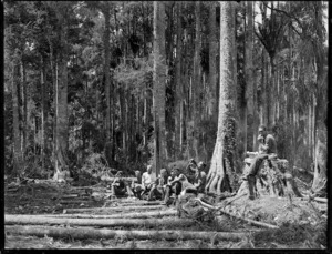 Timber workers in bush, Northland Region
