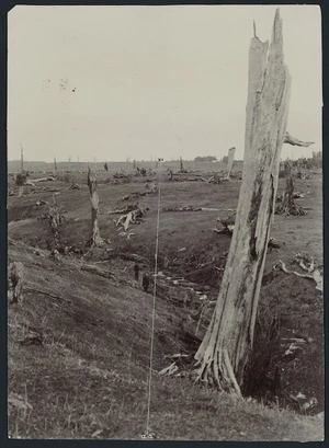 Land area with creek and tree stumps, location unidentified