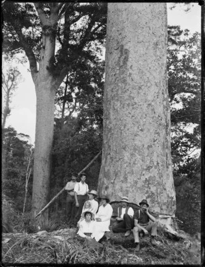 Group at the base of a kauri tree before it was felled, Northland region