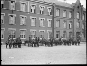 New Zealand Divisional Headquarters horse transport, Leverkusen, Germany