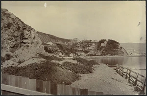 Oriental Bay, looking south from the quarry