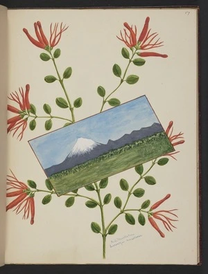 Burton, Clelia, 1878-1952 :N Z mistletoe. Loranthus tenuiflorus. [inset] Mt Egmont / C. L. Burton, Nelson [1890s?]