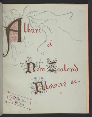 Burton, Clelia, 1878-1952: Album of New Zealand flowers &c