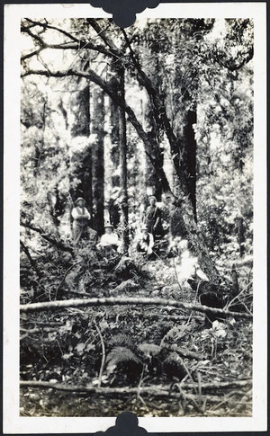 Men posing amongst bush, Waione