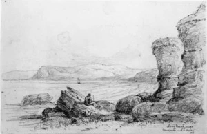 Swainson, William 1789-1855 :Long Beach near Newcastle N.S.W. [1851]