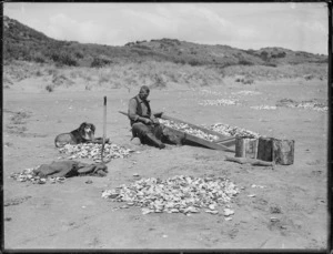 Man shelling toheroa on a beach