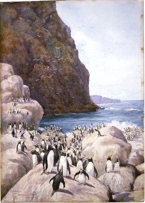 Worsley, Charles Nathaniel, 1862-1923 :Antipodes Island. Jan. 1902.