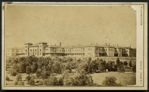 Bray, James E fl 1865-1891 :Lunatic Asylum