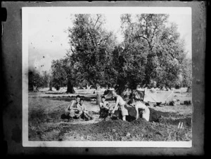 Men in camp site in olive trees, Italy