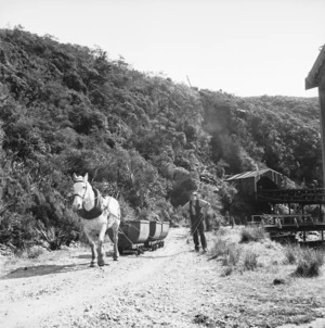 Horse pulling trolleys of coal at Burnett's Face (Mine), Buller District