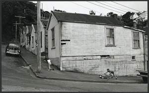 Houses in Cottleville Terrace, Thorndon
