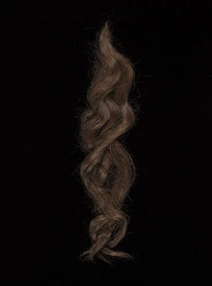 [Lock of Katherine Mansfield's hair. ca 1913].