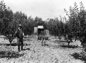 Spraying fruit trees on a Nelson orchard