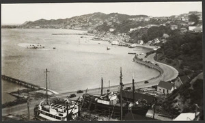 View of Evans Bay from above the Patent Slip