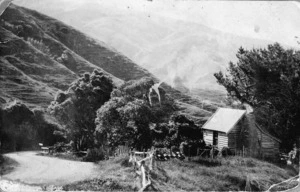Luxton, S, fl 1978 : View including Shotters Cottage, Makara Hill, Wellington