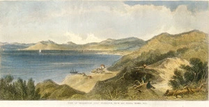 Brees, Samuel Charles, 1810-1865 :Town of Wellington, Port Nicholson, from Kai-warra-warra Hill. Drawn by S C Brees. Engraved by Henry Melville. [London, 1847].