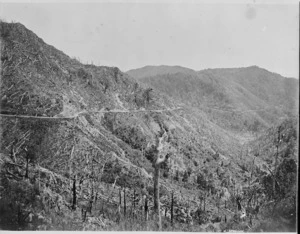 Rimutaka Range, Wellington region