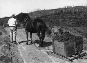 Horse pulling a crate of grapes