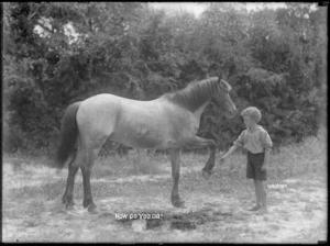 Boy greeting a horse