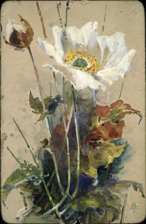 [Hodgkins, Isabel Jane] 1867-1950 :Many happy returns of the day. [Anemone. 1880s or early 1890s].
