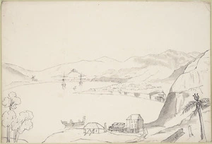 [Crawford, James Coutts] 1817-1889 :Town of Wellington Port Nicholson N. Zealand [1846 or 1847?]