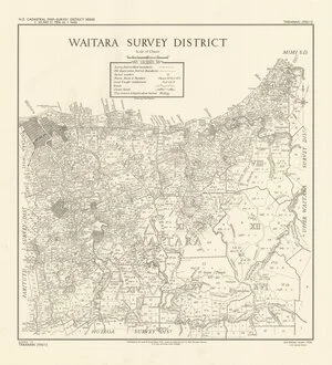 Waitara Survey District [electronic resource] / drawn by Fred Coleman.