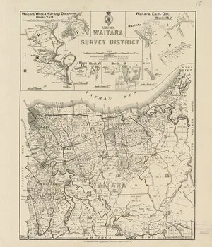 Waitara Survey District [electronic resource] / drawn by R.G. Begley, 1880.