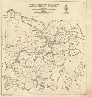 Waro Survey District [electronic resource] / drawn by R. Covil, 1903.