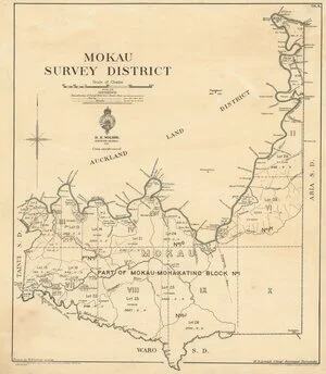 Mokau Survey District [electronic resource] / drawn by W. Conway, 30/8/30.