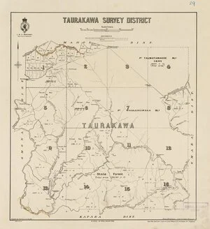 Taurakawa Survey District [electronic resource] / W. Gordon, del., New Plymouth Feb. 1902.