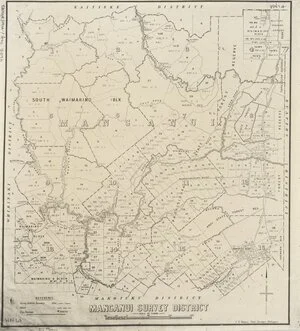 Manganui Survey District [electronic resource] / C.T. Brown.