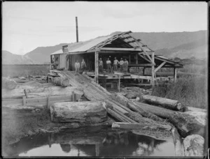 Sawmill and kauri logs, Northland region