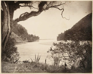 Mokihinui River, West Coast - Photograph taken by Henry Thomas Lock