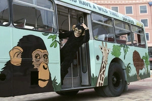Wellington bus painted up to promote Wellington Zoo - Photograph taken by Jon Hargest