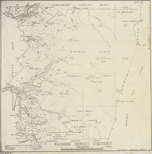 Ruahine Survey District [electronic resource].