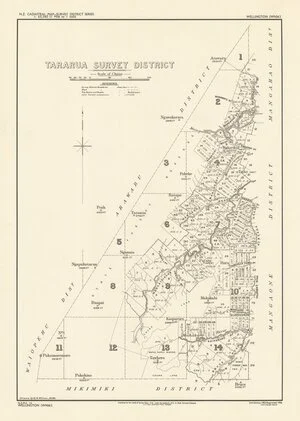 Tararua Survey District [electronic resource] / drawn by E.R. Wilson, 1896.