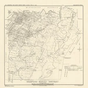 Waiopehu Survey District [electronic resource].