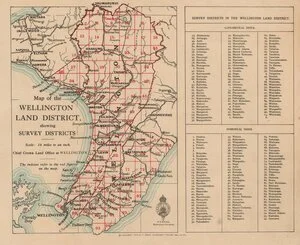 Map of the Wellington Land District showing survey districts [electronic resource].