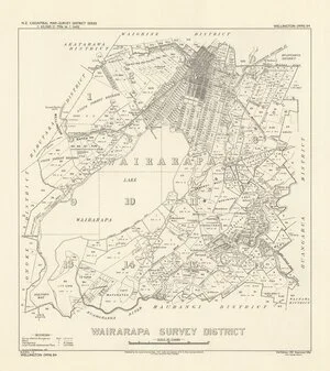 Wairarapa Survey District [electronic resource] / drawn by W.A. Nicholson, 1931.